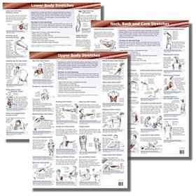 Thumbnail picture of the Anatomical Charts (set of 3)